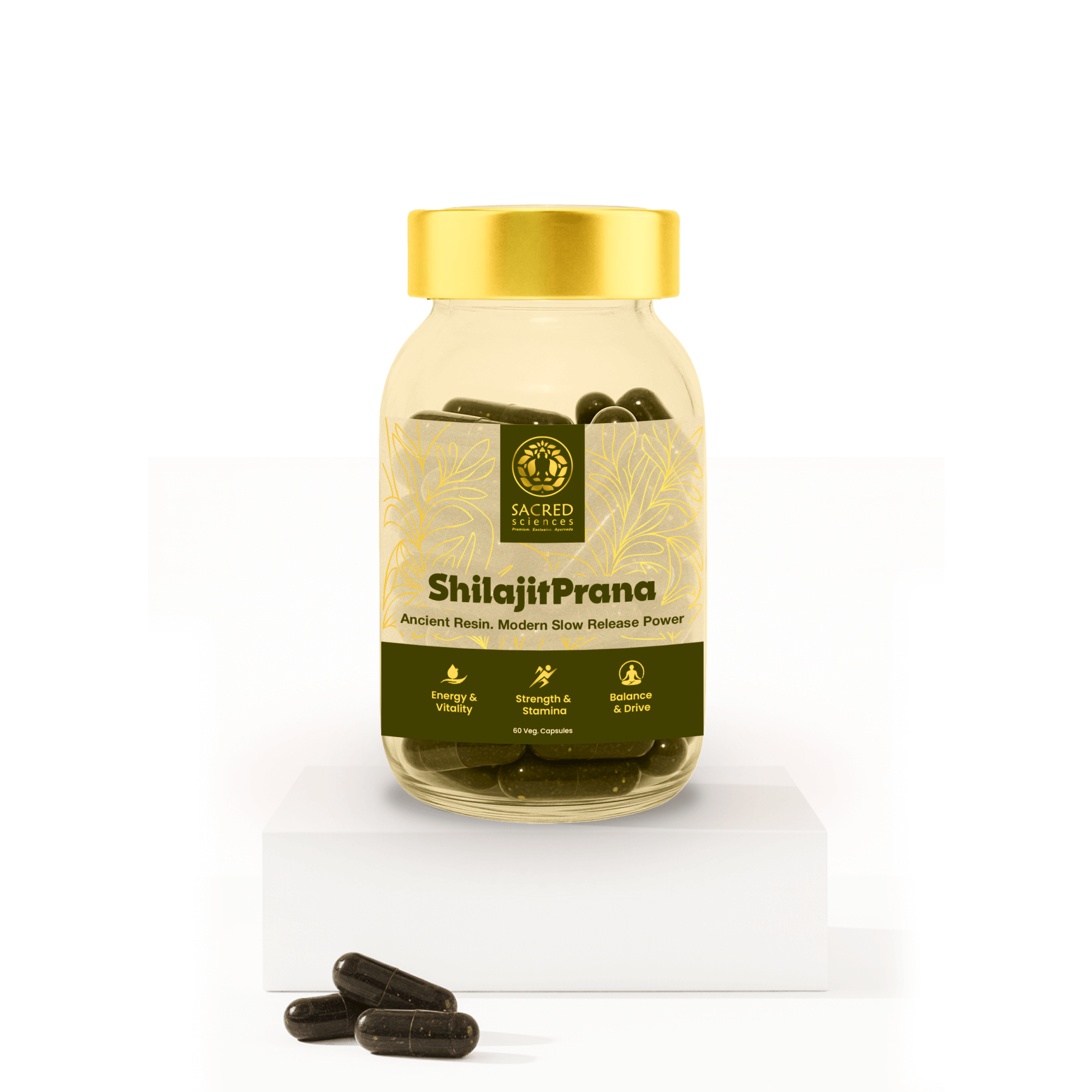 01 ShilajeetPrana (1)