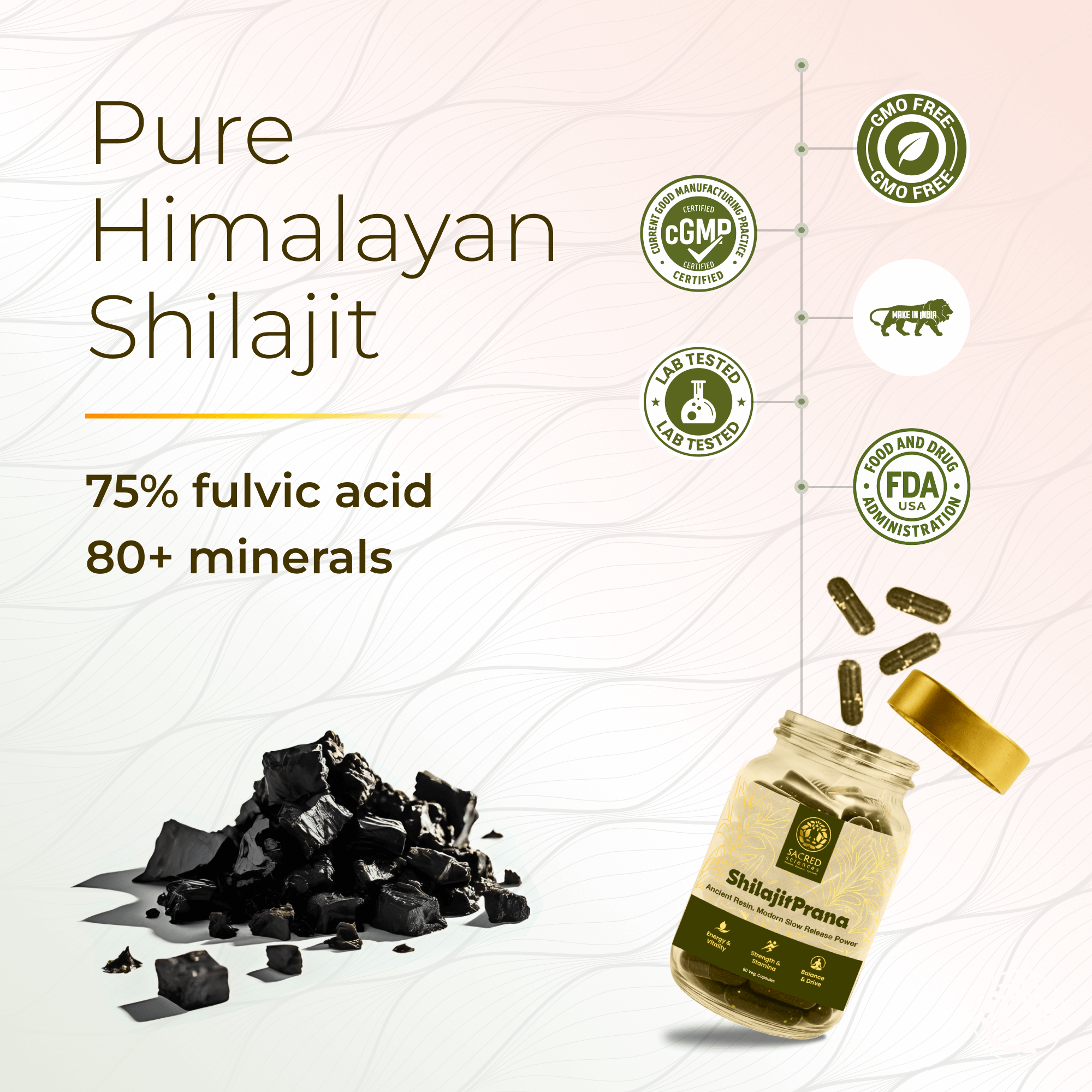 06 ShilajeetPrana (1)