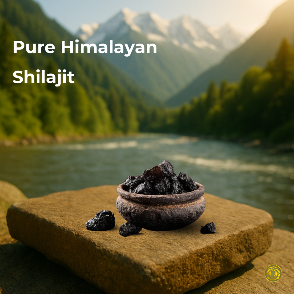 pure shilajit